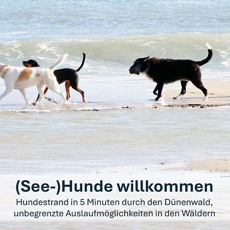 Paradies-Ambiente - Strandnah, Sauna, Kamin, Hundefreundlich Zinnowitz Exteriér fotografie