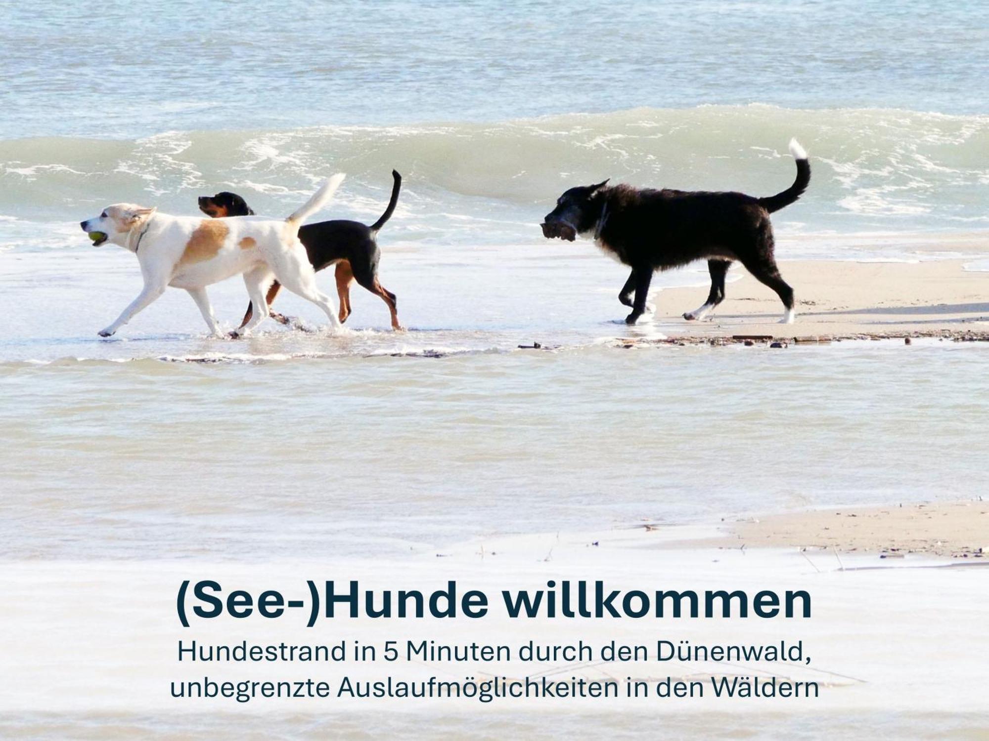 Paradies-Ambiente - Strandnah, Sauna, Kamin, Hundefreundlich Zinnowitz Exteriér fotografie