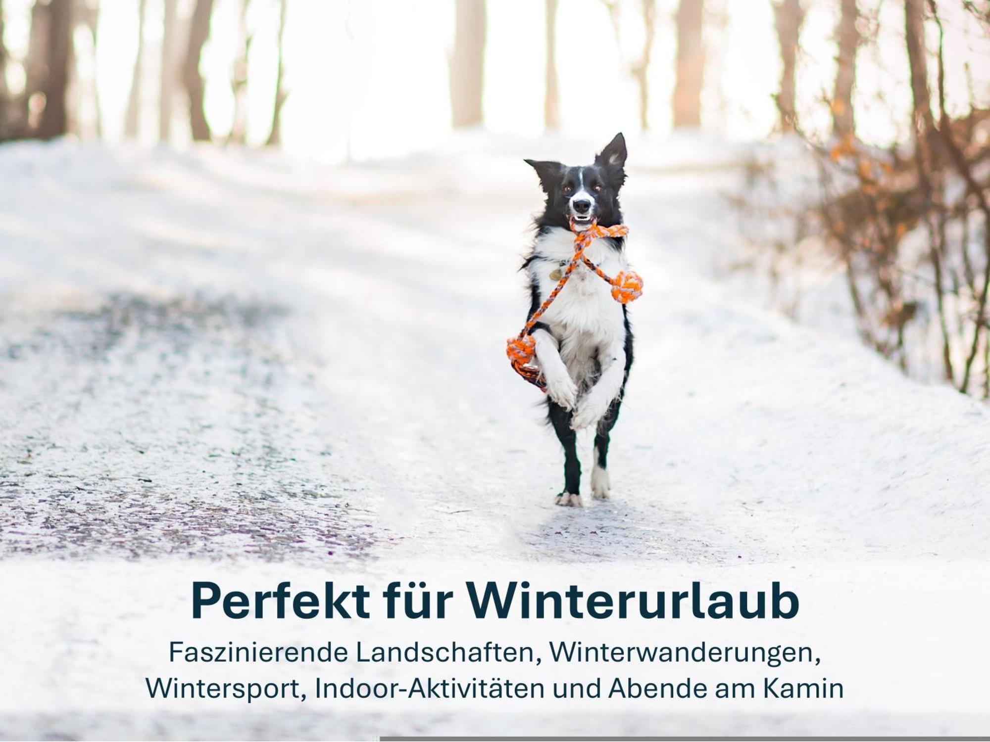 Paradies-Ambiente - Strandnah, Sauna, Kamin, Hundefreundlich Zinnowitz Exteriér fotografie