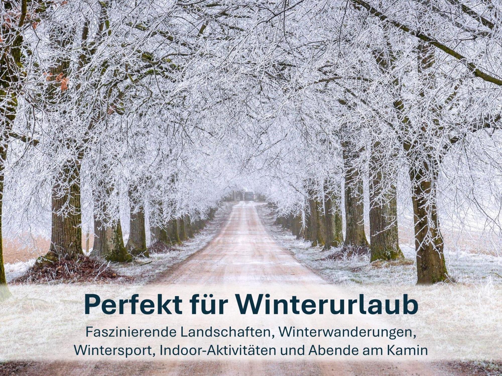 Paradies-Ambiente - Strandnah, Sauna, Kamin, Hundefreundlich Zinnowitz Exteriér fotografie